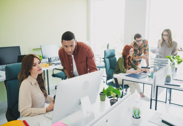 Boosting Practitioner Efficiency with ECINS: Adaptable Software Solutions for Real-World Challenges